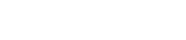 LIAR4D Logo
